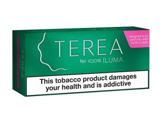 TEREA Sticks Carton Green