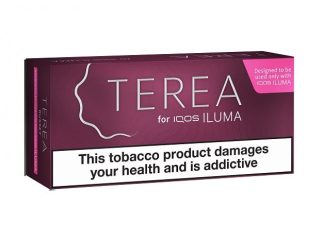 TEREA Sticks Carton Russet