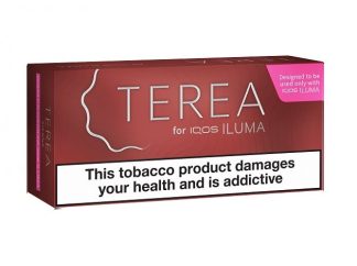 TEREA Sticks Carton Sienna