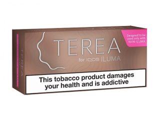 TEREA Sticks Carton Teak