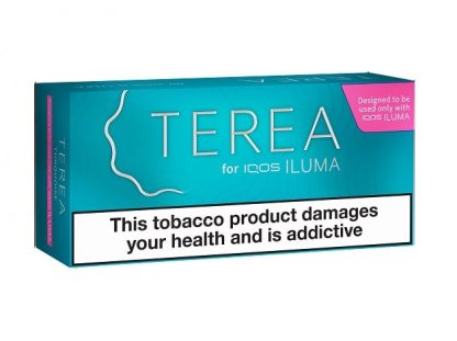 TEREA Sticks Carton Turquoise